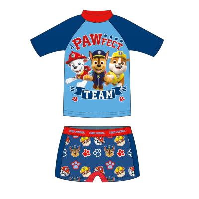 PAW PATROL