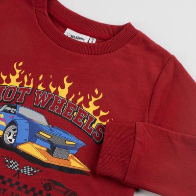 Moletom Algodão Escovado Hot Wheels – Velocidade e Estilo – Pack 12