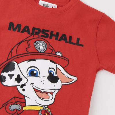 T-Shirt Curto Jersey Simples Paw Patrol – Pack 12