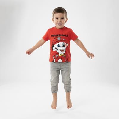 T-Shirt Curto Jersey Simples Paw Patrol – Pack 12