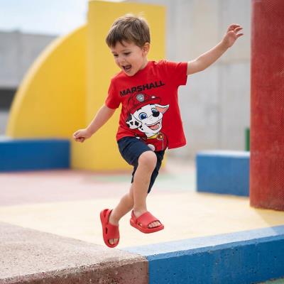 T-Shirt Curto Jersey Simples Paw Patrol – Pack 12