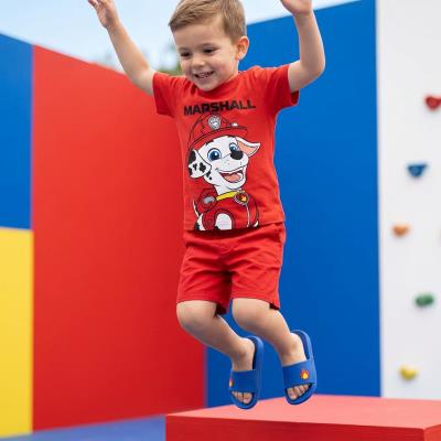 T-Shirt Curto Jersey Simples Paw Patrol – Pack 12