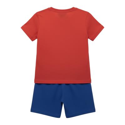 Conjunto 2 Peças Terry Francês Spidey – Pack 12