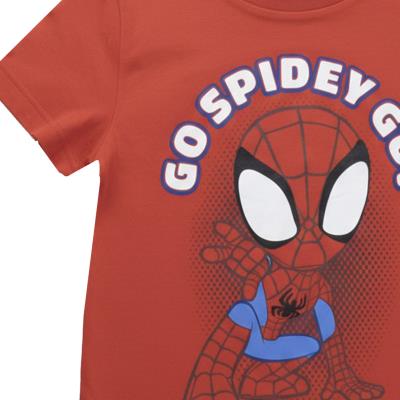 Conjunto 2 Peças Terry Francês Spidey – Pack 12