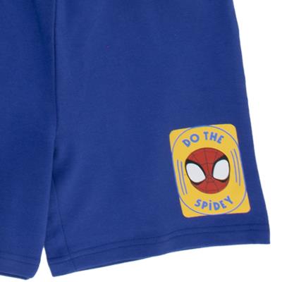 Conjunto 2 Peças Terry Francês Spidey – Pack 12