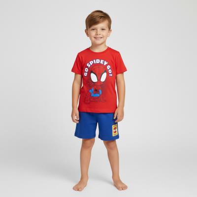 Conjunto 2 Peças Terry Francês Spidey – Pack 12