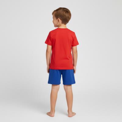 Conjunto 2 Peças Terry Francês Spidey – Pack 12