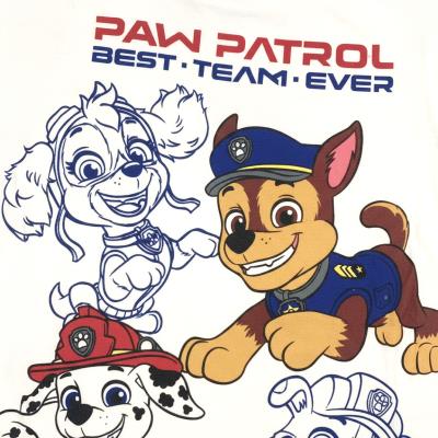 Conjunto 2 Peças Terry Francês Paw Patrol – Pack 12