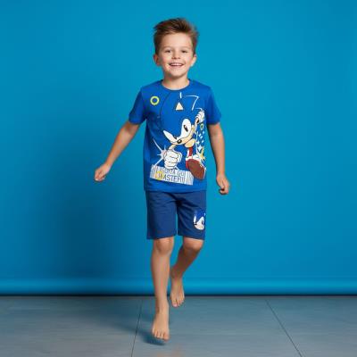 Conjunto 2 Peças Terry Francês Sonic – Pack 12
