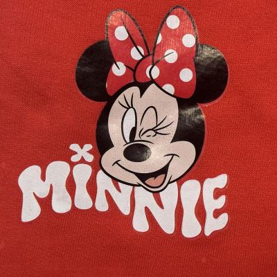 Conjunto 2 Peças Terry Minnie Francês – Pack 12