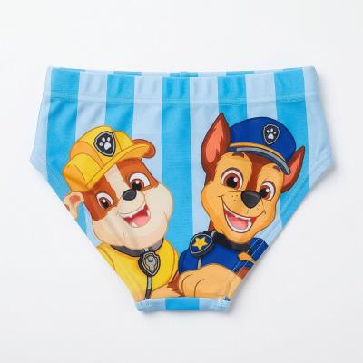 Slip de Banheiro Paw Patrol – Pack 12