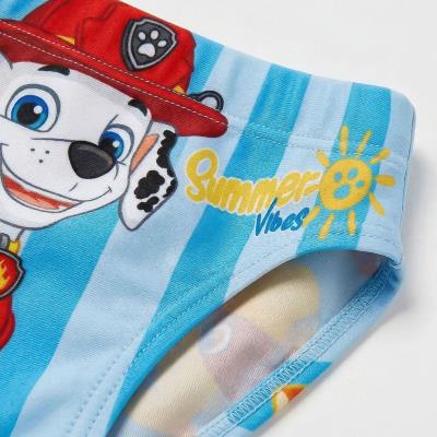 Slip de Banheiro Paw Patrol – Pack 12