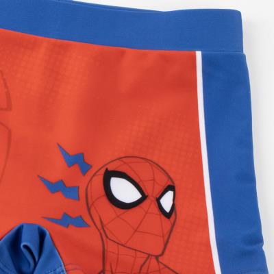 Boxer de Banheiro Spider-Man – Pack 12