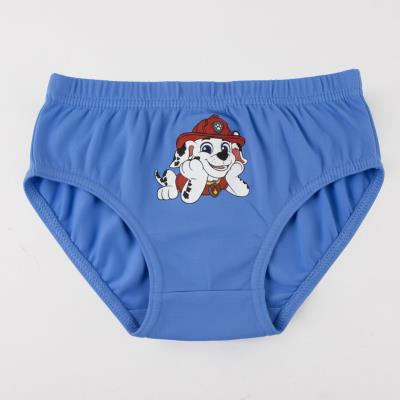 Pack de Cuecas Jersey Simples 3 Peças Paw Patrol – Pack 15