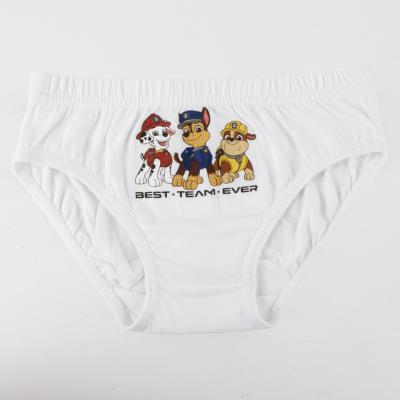 Pack de Cuecas Jersey Simples 3 Peças Paw Patrol – Pack 15