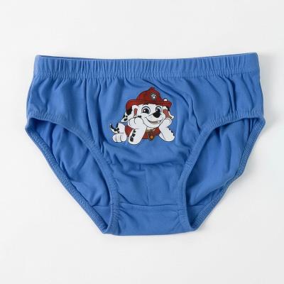 Pacote de Cuecas Saco Necessário Jersey Único Paw Patrol – Pack 15