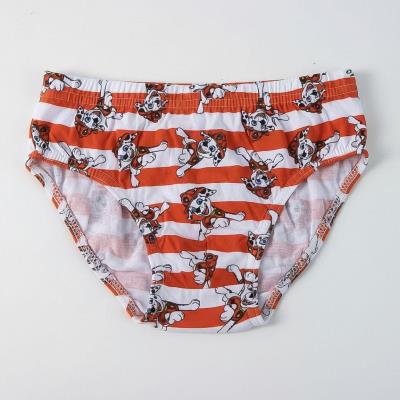 Pacote de Cuecas Saco Necessário Jersey Único Paw Patrol – Pack 15