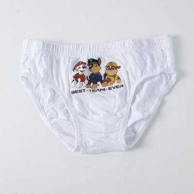 Pacote de Cuecas Saco Necessário Jersey Único Paw Patrol – Pack 15