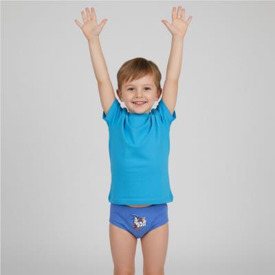 Cuecas Saco Necessário Jersey Único Sonic – Pack 15