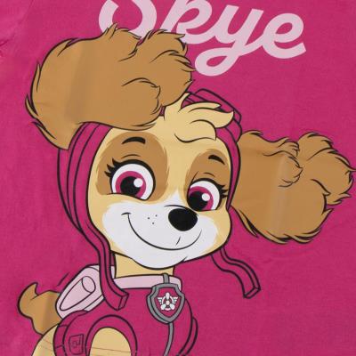 T-Shirt Curto Jersey Simples Paw Patrol – Pack 12