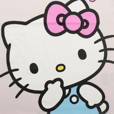 Conjunto 2 Peças Terry Francês Hello Kitty – Pack 12
