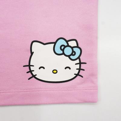 Conjunto 2 Peças Terry Francês Hello Kitty – Pack 12