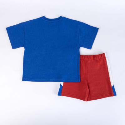 Conjunto 2 Peças Terry Francês Spider-Man – Pack 12