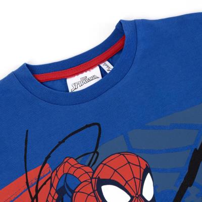 Conjunto 2 Peças Terry Francês Spider-Man – Pack 12