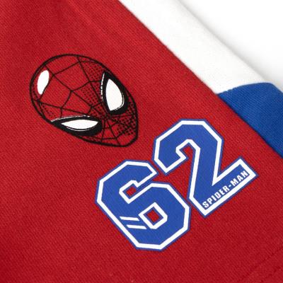 Conjunto 2 Peças Terry Francês Spider-Man – Pack 12