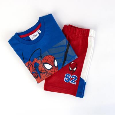 Conjunto 2 Peças Terry Francês Spider-Man – Pack 12