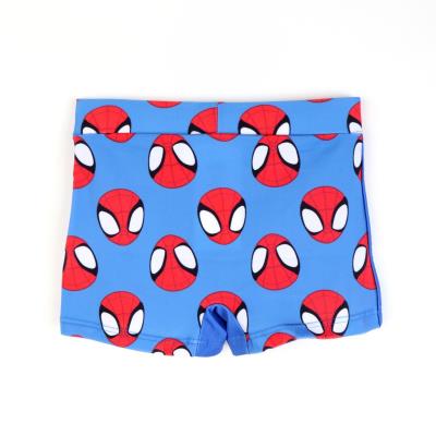 Boxer de Banheiro Spidey – Pack 12