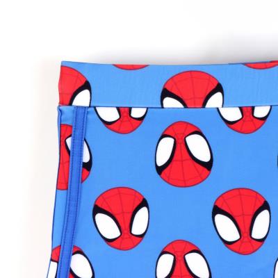 Boxer de Banheiro Spidey – Pack 12