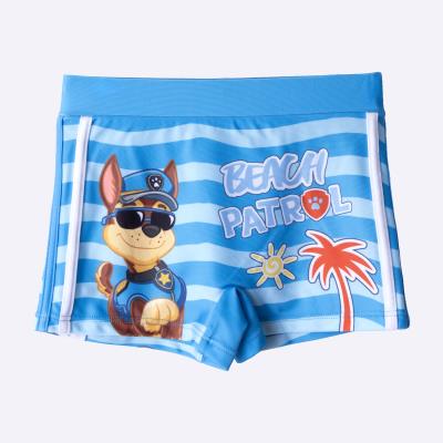 Boxer de Banheiro Paw Patrol – Pack 12