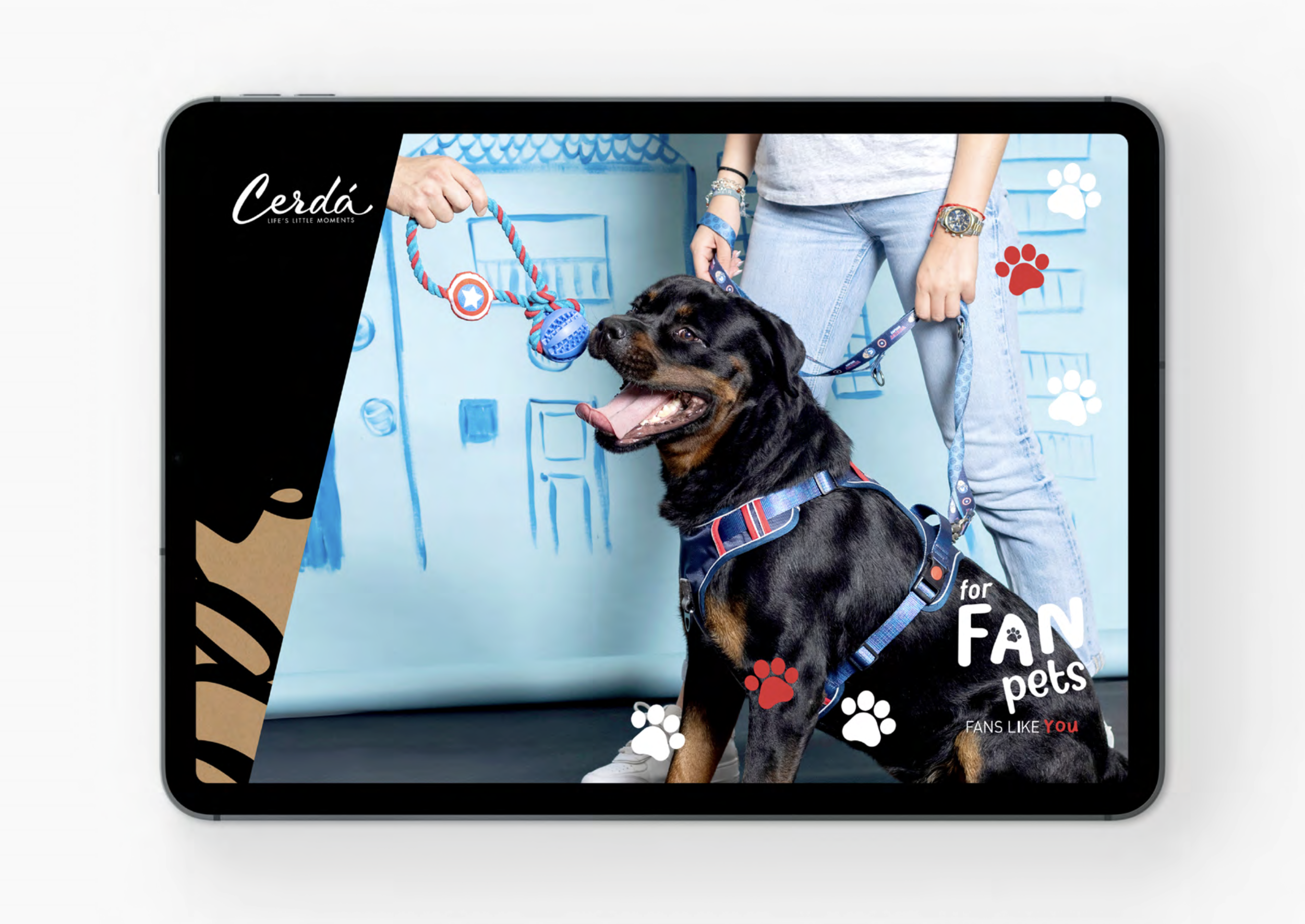 FOR FAN PETS