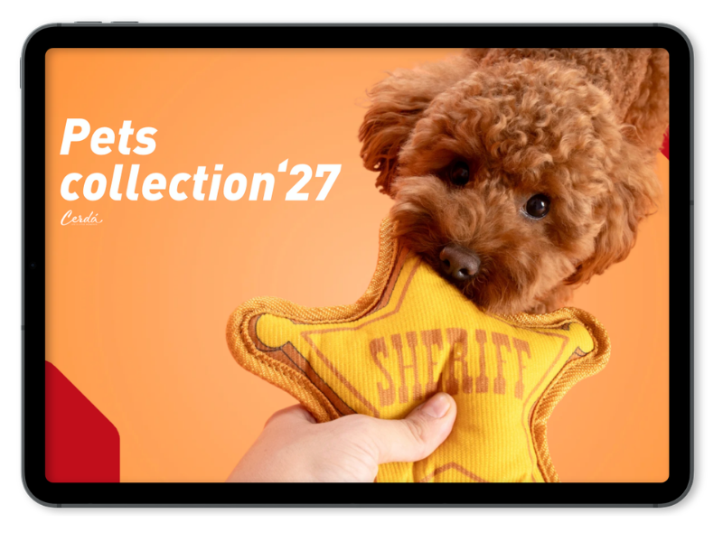 CAT_Pets_27