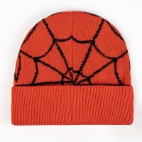 CONJUNTO 2 PIEZAS SPIDERMAN 1