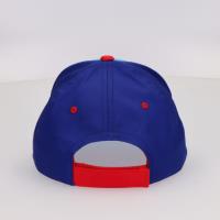 CAP PAW PATROL 1