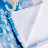 TOWEL POLYESTER FROZEN 2