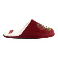 CHINELOS DE CASA ABERTA HARRY POTTER GRYFFINDOR 1