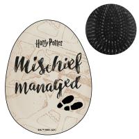 BROSSES À CHEVEUX DESENREDANTE ADULTE HARRY POTTER