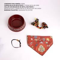SET PARA MASCOTAS BIENVENIDA HARRY POTTER 1