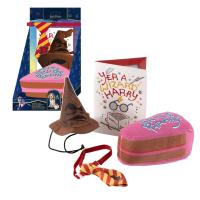 PET SET CUMPLEAÑOS HARRY POTTER