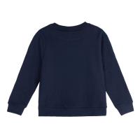 SWEATSHIRT COTTON BRUSHED SONIC 1