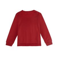 SUDADERA COTTON BRUSHED HOT WHEELS 1