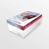 PACKAGING SHOEBOX INFANTIL FROZEN