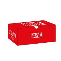 PACKAGING SHOEBOX ADULTE AVENGERS