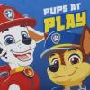 PAW PATROL