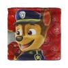 PAW PATROL