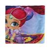 SHIMMER AND SHINE