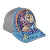 PAW PATROL